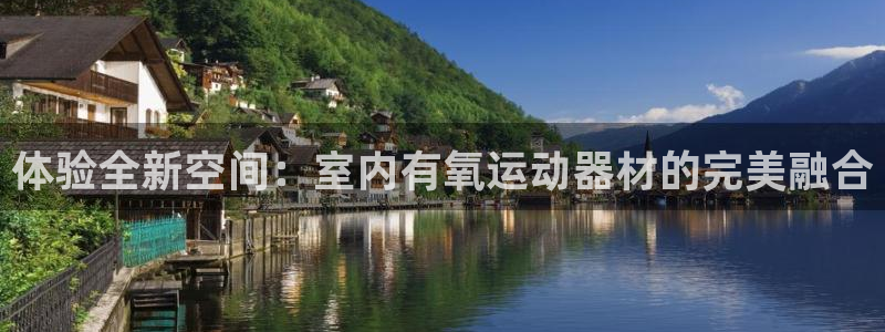 意昂体育4是干嘛的公司:体验全新空间:室内有氧运动器材的完美