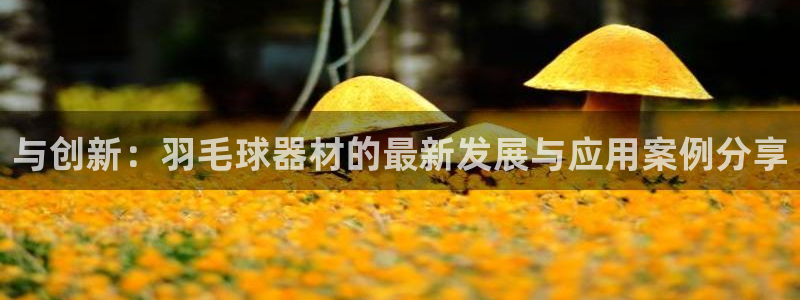 意昂体育4联系电话:与创新:羽毛球器材的最新发展与应用案例分