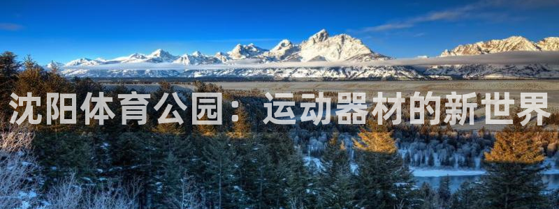 意昂4娱乐网站:沈阳体育公园:运动器材的新世界