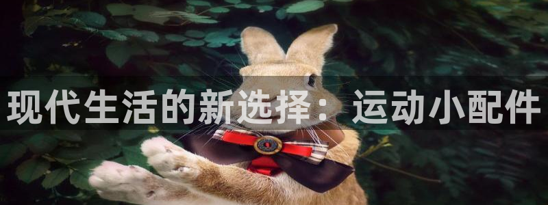 意昂体育4平台:现代生活的新选择:运动小配件